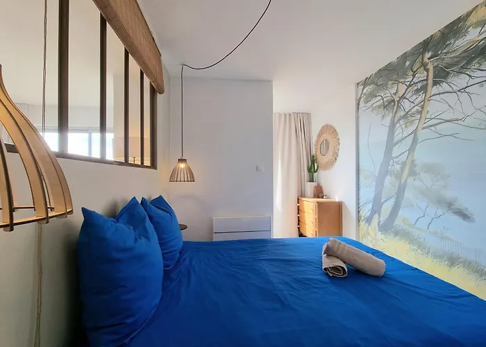 L'horizon Dore, Vue Et Dunes, A Pied Saint-Hilaire-de-Riez